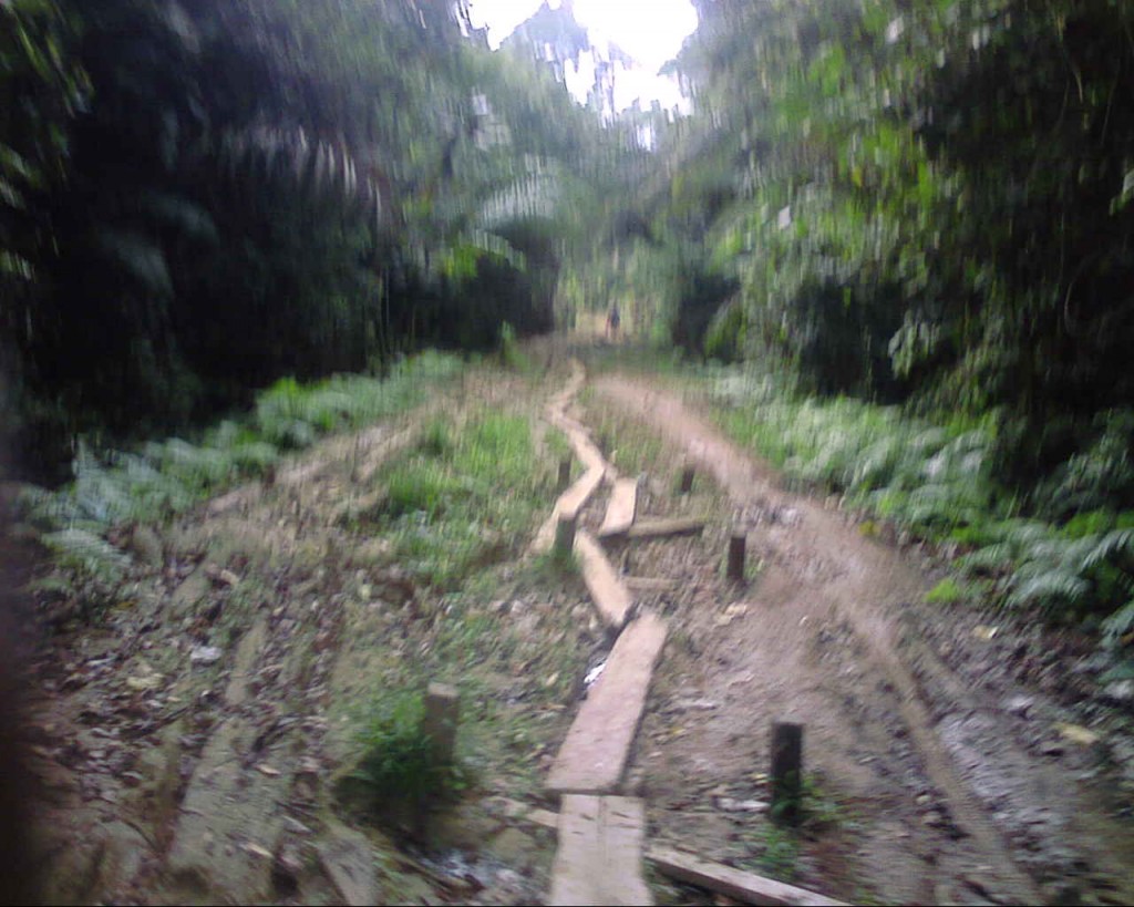 Emago Kugbo bush path to Ogbia LGA