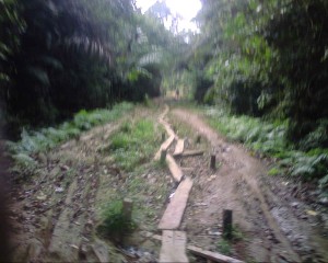 Bush path from Emago-Kugbo to Ogbia in Bayelsa